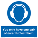 mandatory-you-only-have-one-pair-of-ears-protect-them~